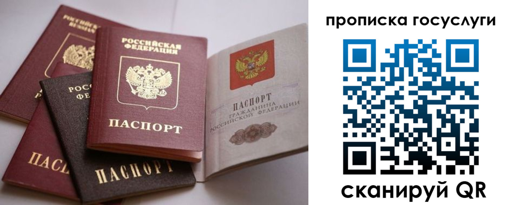 купить прописку в Александрове